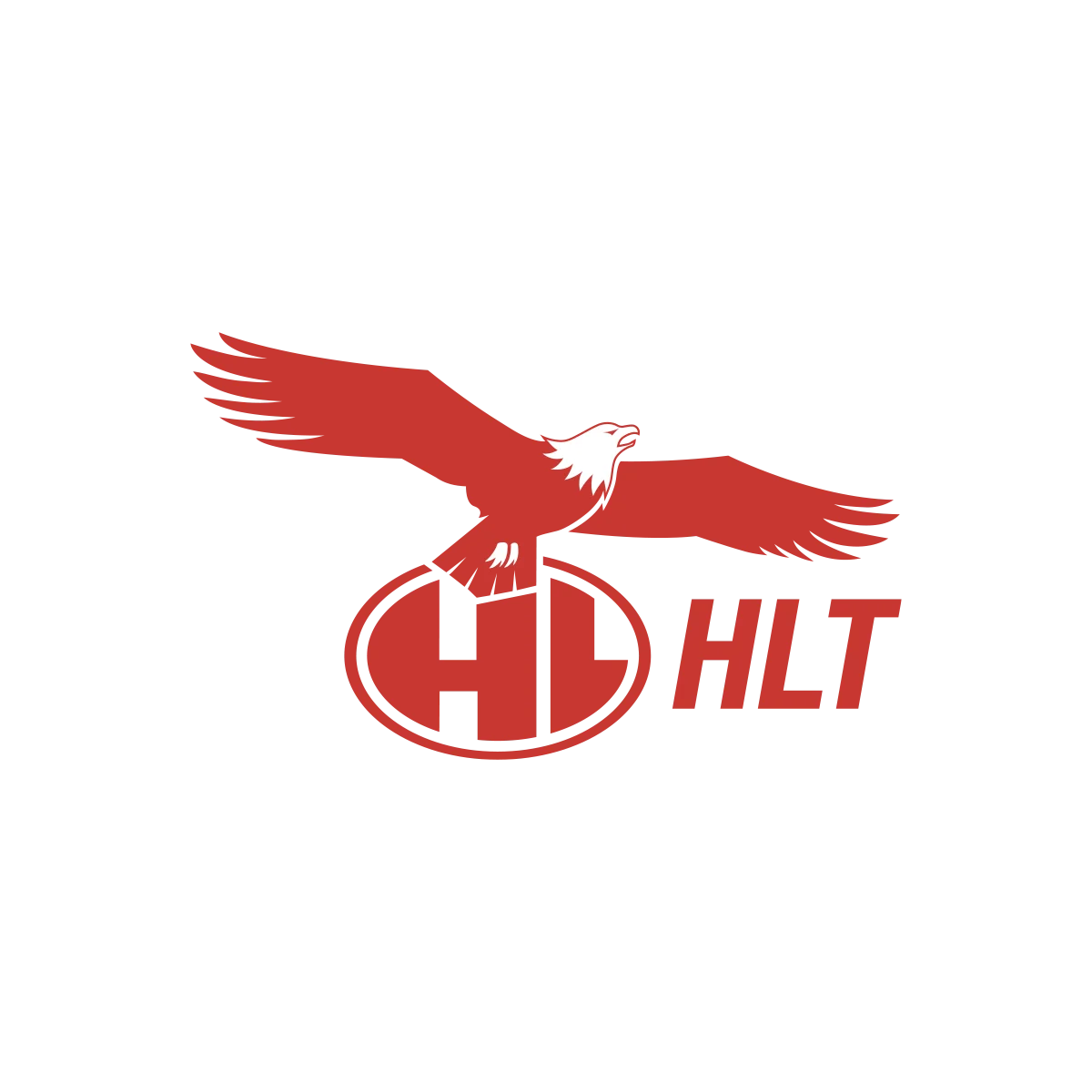Company Overview - HLT INTERNATIONAL PTE. LTD.
