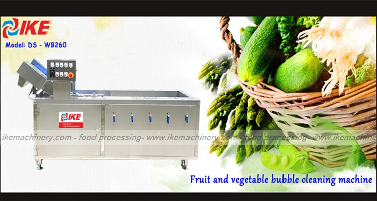 IKE Electric Cleaning Machine for Leaf Vegetable and Fruit