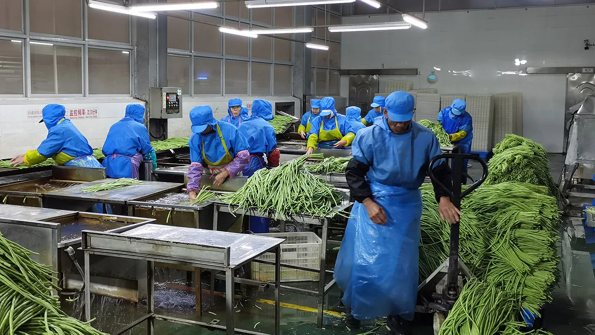 Henan Fitaky Food Co., Ltd. 2