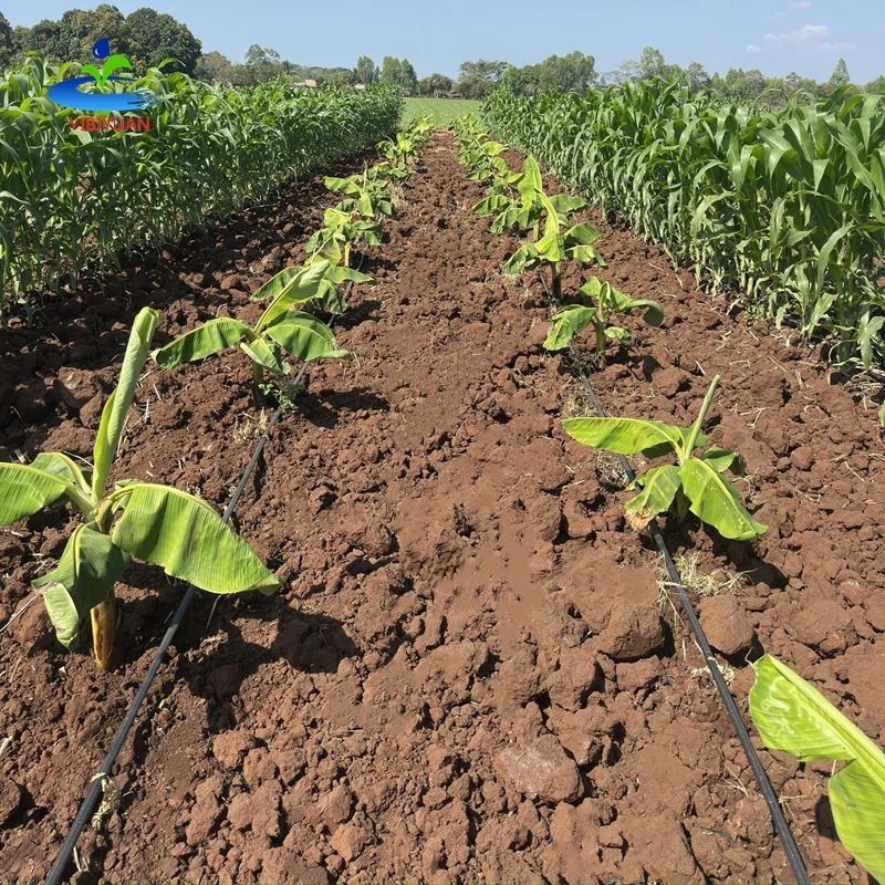 Drip Irrigation 15 cm Spacing and 0.4 to 5 Thickness Goutte a Goutte Rouleau De 10000 m Cinta De Riego Por Goteo