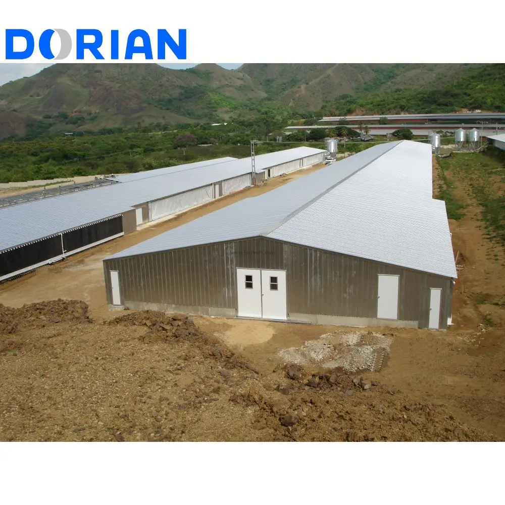New Design Small Prefab Steel Structure Egg Chicken Poultry Farm Building for 5000 Chicken