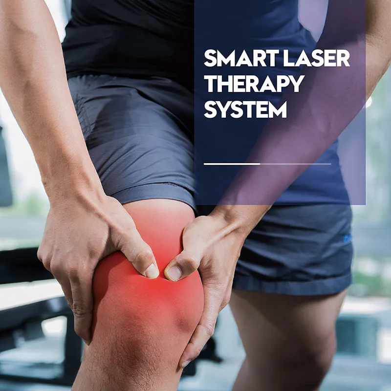 High Intensive Class 4 Cold Laser Pain Relief Device Diode Laser 980nm 60w Therapy Equipments