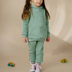 Hot Sale Heavy Fleece Cotton Pullover Unisex Kids Tracksuit Set Tracksuits Baby Girls Winter Hoodie Clothes Set