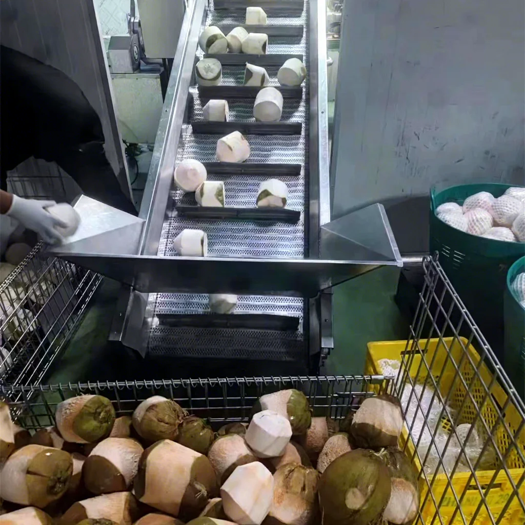 High Automatic Coconut Milk Drink Making Machine Coconut Water Processing Line Production