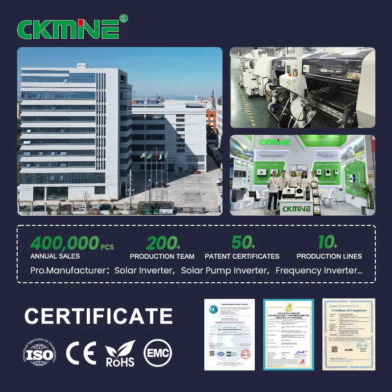 Company overview