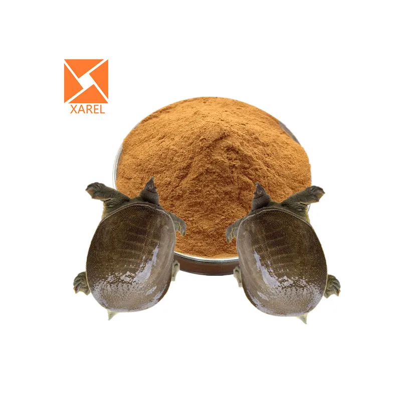 Best Price Halal High Quality High Protein 100 Pure Animal Extract