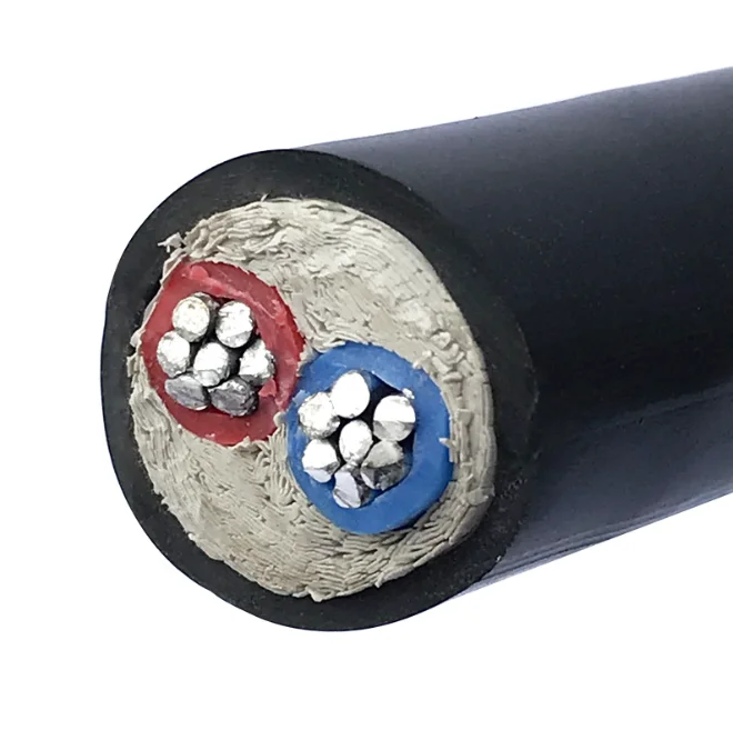 Factory Direct Low Voltage 2 Core Aluminum Cable High Quality Yjlv Xlpe Flame Retardant Insulated and PVC Sheathed Power Cable