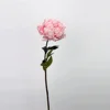 Rose pivoine moyen-rose foncé