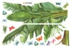 Adesivo murale con pianta verde
