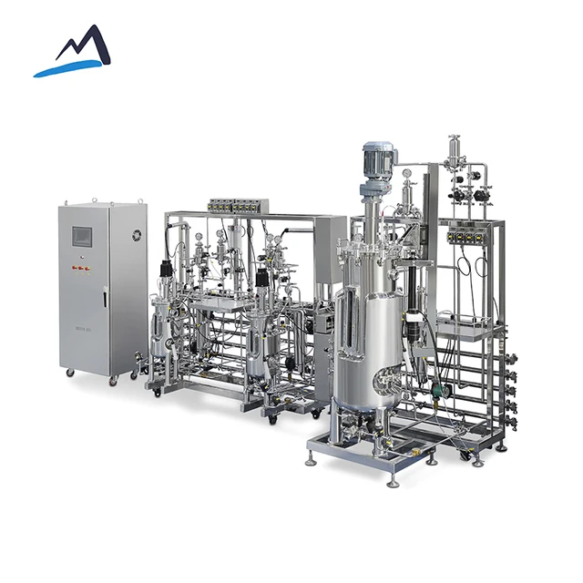 5-50-500L Three Stage Mechanical Stirring Bioreactor Fermenter BLBIO 5-50-500SJC Laboratory Stainless Steels Fermentation tank
