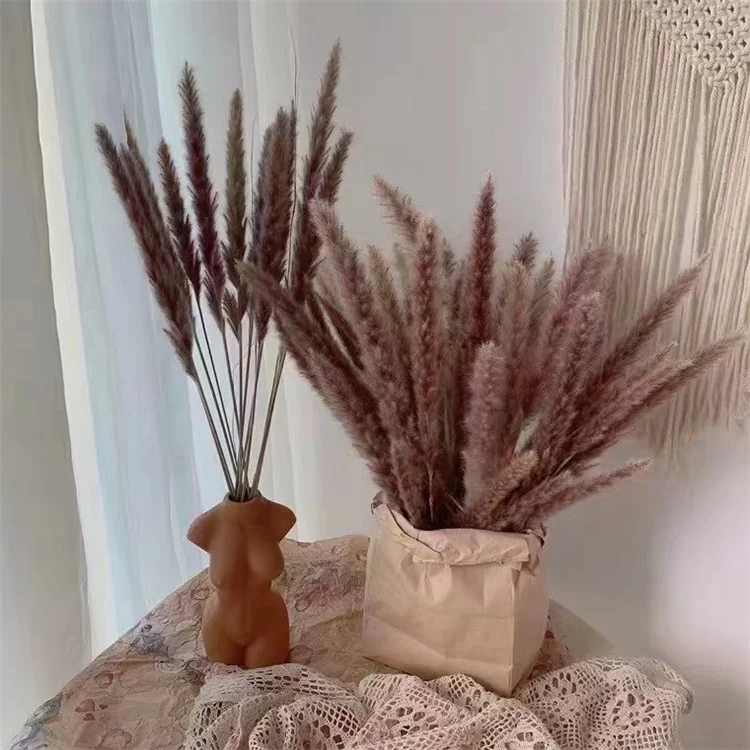Décoration Fleurs Séchées Herbe De Pampa - 120 Pièces Style Bohème Pour Mariage, Maison, Table - Taille 50 Cm