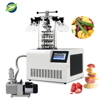 Yetuo Fruit soil vegetable Home Small Mini Multi-manifold gland type LGJ-10D Lyophilizer Vacuum freeze dryer machine
