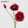 Red-10.R0074