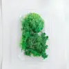 Muschio verde (circa 10 grammi)