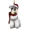 Schnauzer miniatura