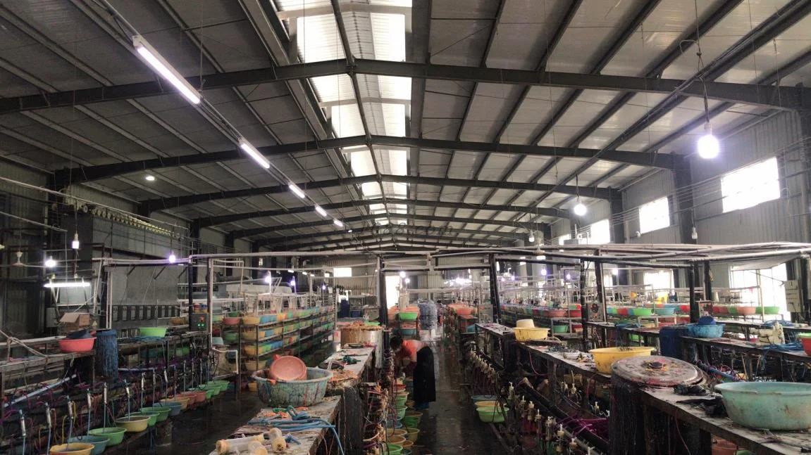 Zhanjiang Broad Rubber Industry Co., Ltd. 2