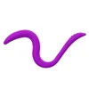 Viola