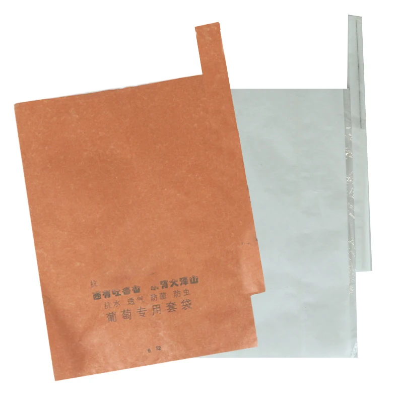 Eco Friendly Custom Print Waterproof Insectproof Grow Agricultural Fruit Bags Mango Covering Paper Bags for Fruit Protection Bag