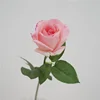 rosa chiaro