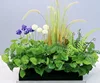 green Style f
