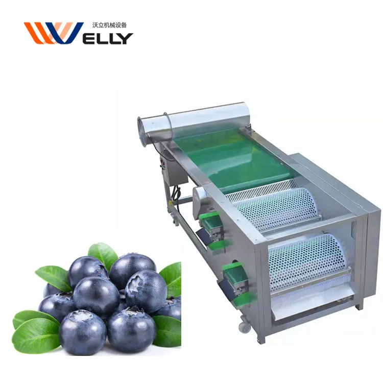 More Convient Automatic Blueberry by Size Sorter Grader Machine With Cushioning Material