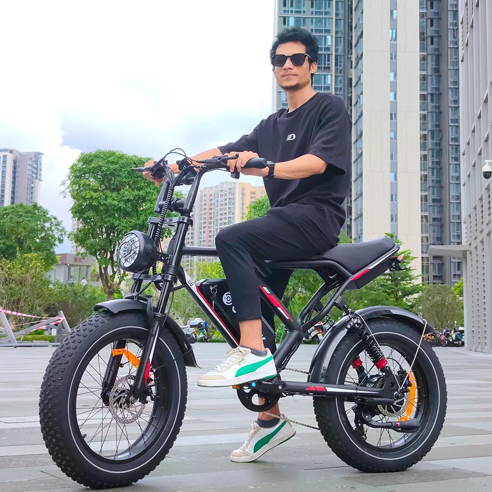 Premium Wholesale Prices for 1000W, 250W, and 2000W Mountain E-bikes with 20 Inch Fat Tires – Electric Pedal Bicycle