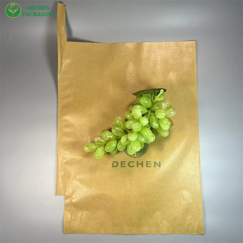 Bags To Protect Grapes Bag Fruit Grow Chile