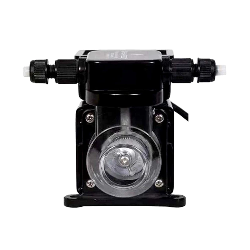 Automatic Swimming Pool Chemicals Dosing Pump Pool Disinfection