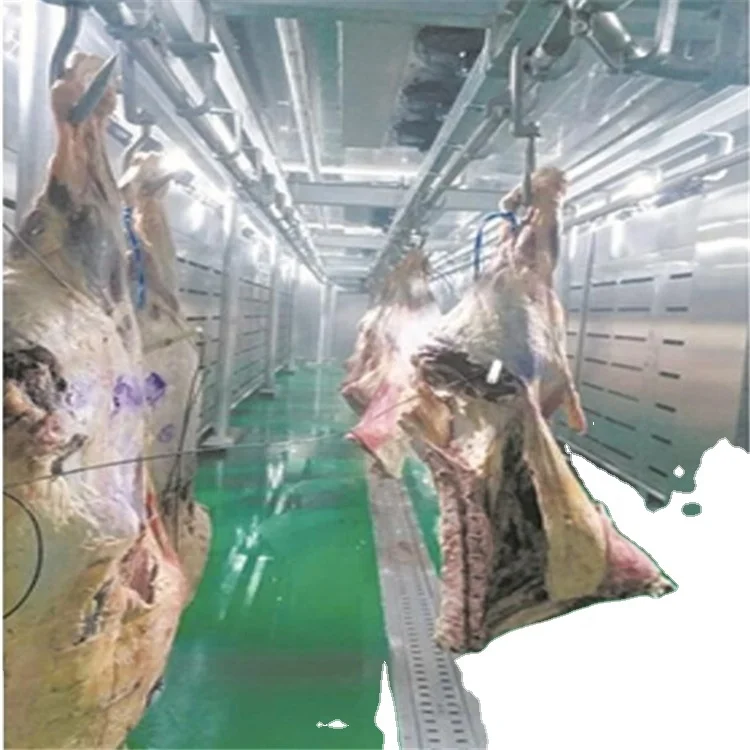 Cold defrost chamber for frozen meat and beef products