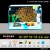 Pacchetto decorativo per acquario in corallo giallo di lusso, versione migliorata.