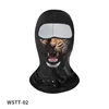 WSTT-02