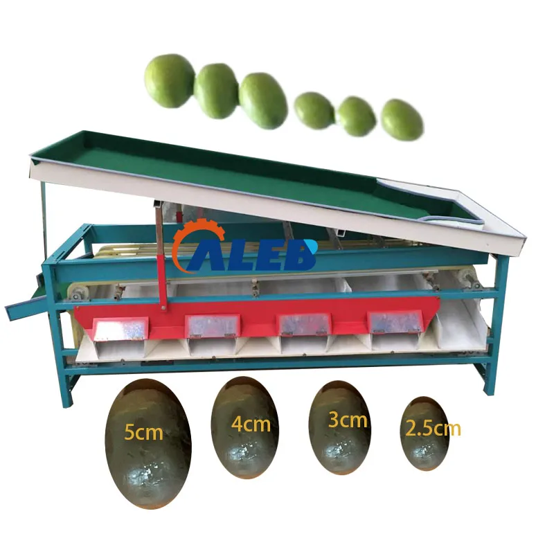 果物 9#1#9#10 Zee Zees, Fruit Cup, Harvest Mixed Fruit, I/W, 4.5oz