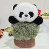 Panda de souche