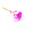 Fiore rosa rosa