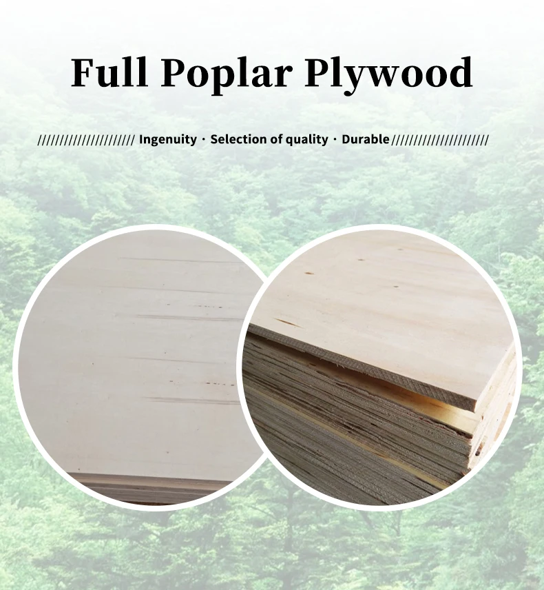 Commercial Container Flooring Plywood Sheet 12mm 15mm 18mm 4x8 6ft X