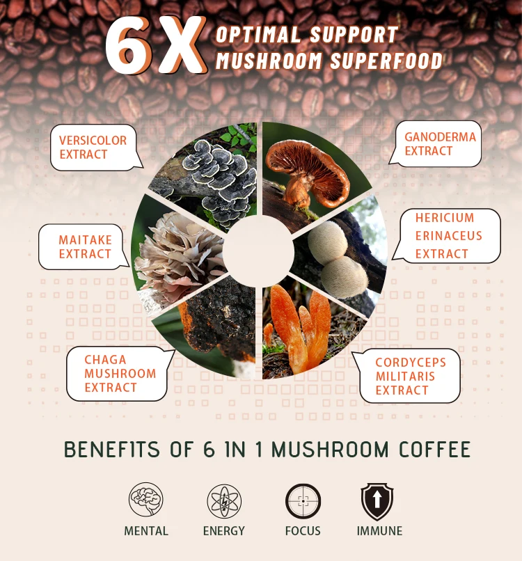 Instant Mushroom Coffee Customized Lions Mane Chaga Ganoderma Cordyceps