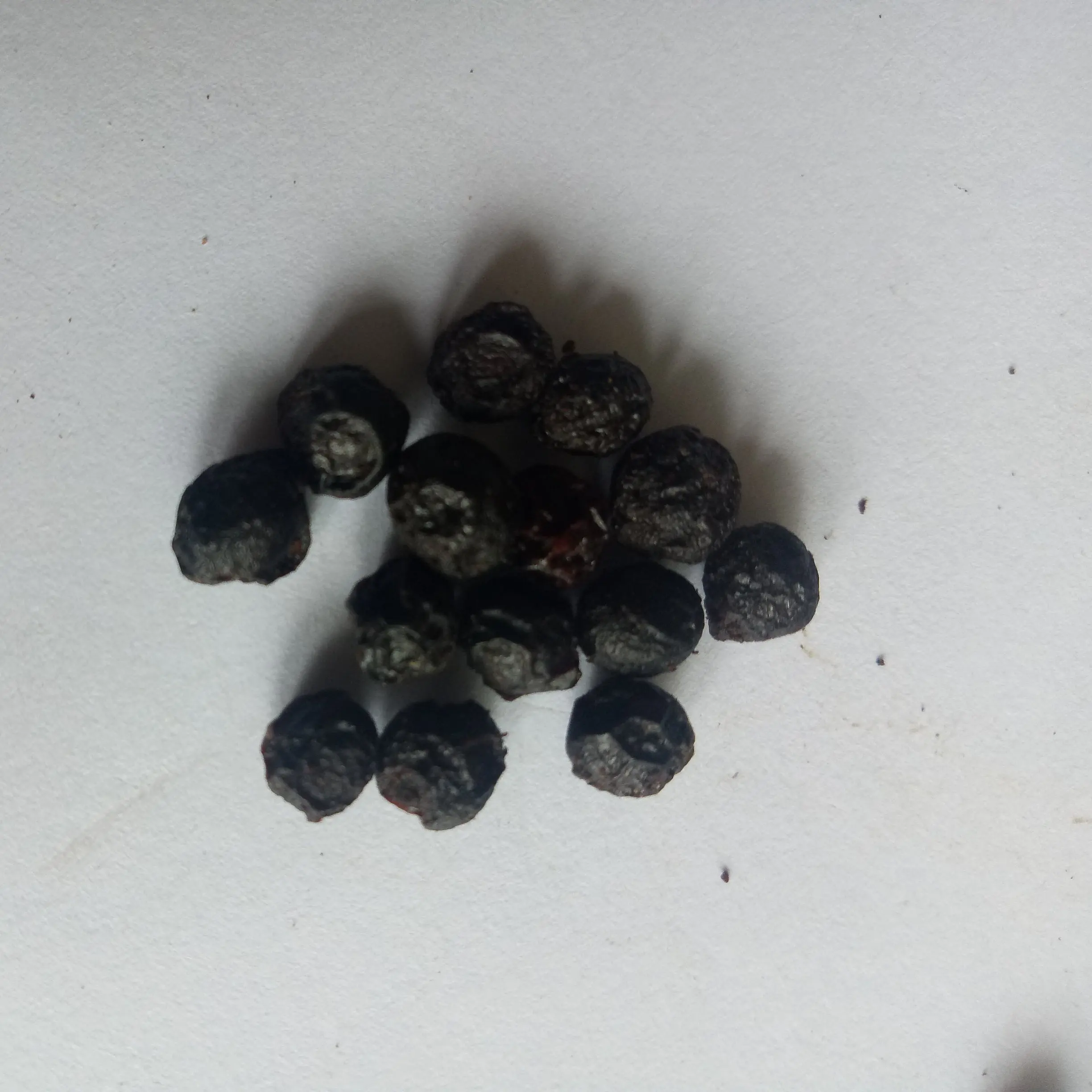 Bi Cheng Qie Dried Fructus Litseae Cubebae Spice Wild Black Fruits Fructus Litseae