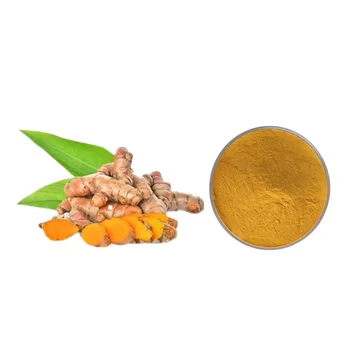 Turmeric extracts 30:1 Turmeric powder Curcumin High-power extraction Factory in stock Large quantity and excellent price