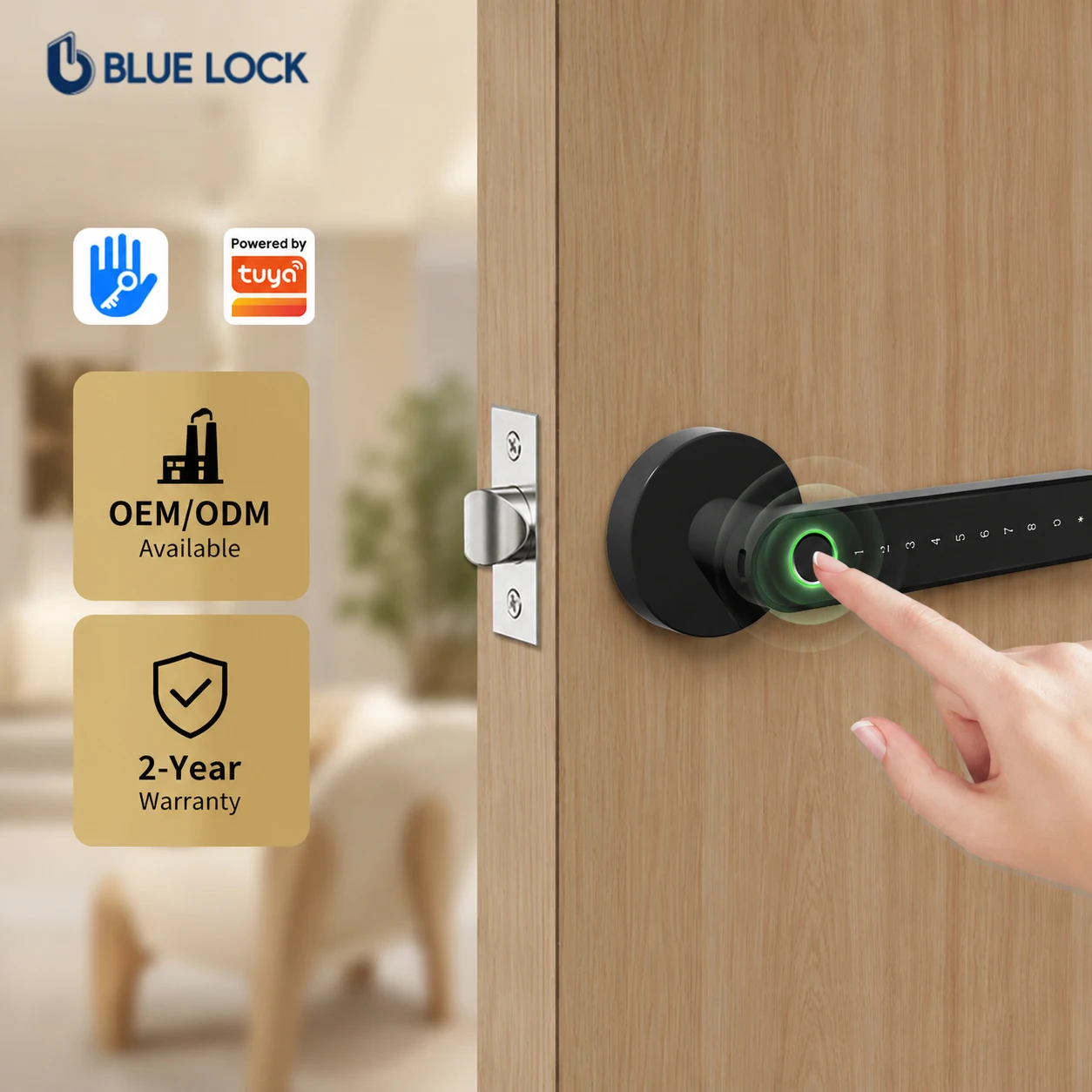 Bluelock Grade C TTlock Intelligent Biometric Fingerprint Recognition Lock Tuya App Remote Control Wooden Steel Office Doors