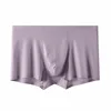 Taro purple