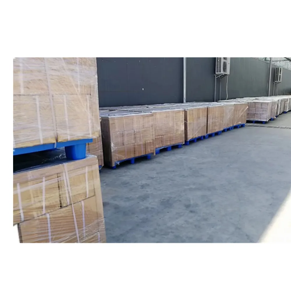 Hot Sale Party Patch Hangover Prevention Vitamin B12 Transdermal Patch