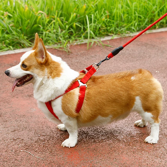Nylon Dog Leash With Pet Chest Harness Set