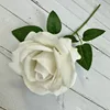 Bianco latte