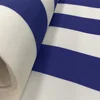 Strisce blu e bianche
