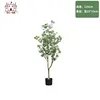Money Tree - 120cm