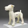 White XNR Schnauzer