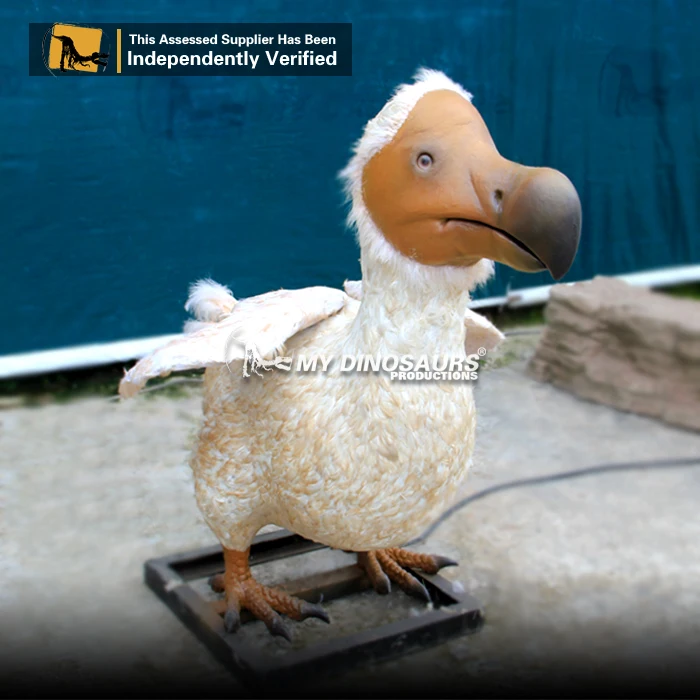 Life-size Dodo Bird - Event Décor And Prop Rental