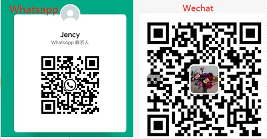 paste-pic-dp_uuid_6kh6e