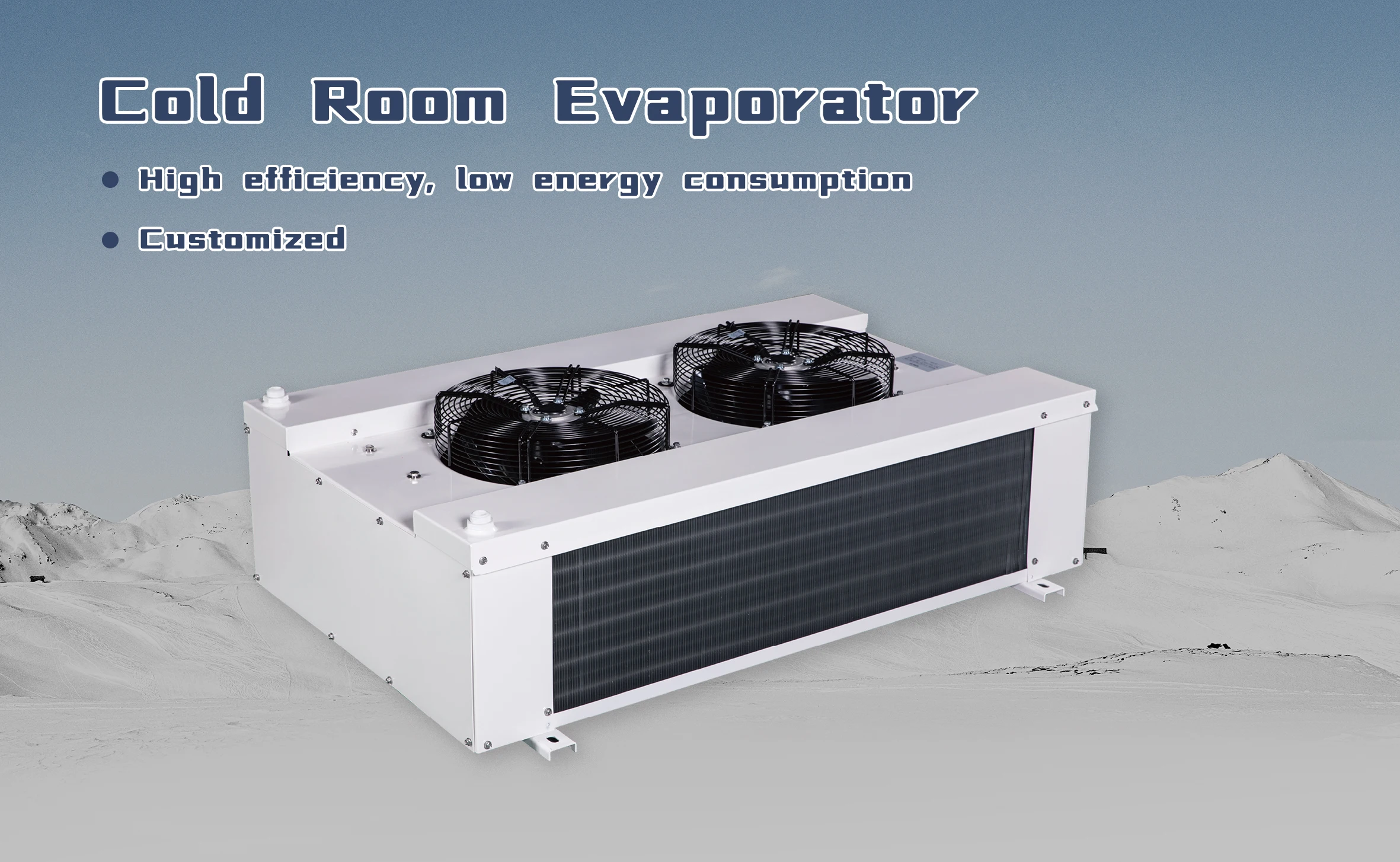 Double Side Discharge Evaporator, RUIXUE, 220V - detail 2