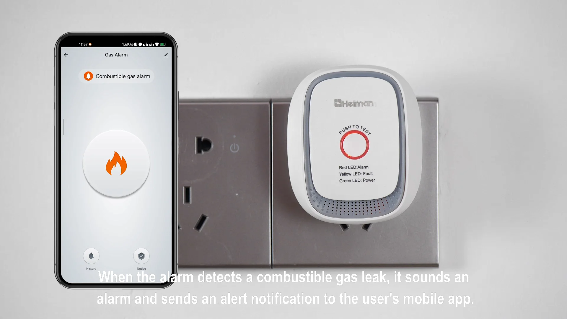 Heiman Ac Power Combustible Co Detectorco Sensor Alarm Tuya Smart